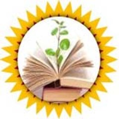 S.S.N. Sunrise study