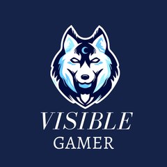 Visible Gamer