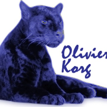 OlivierKorg