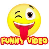 Funny Videos