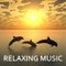 Meditation Relax Music