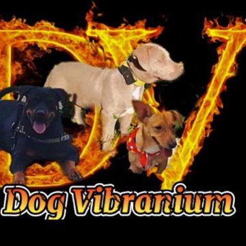 Dog Vibranium