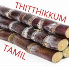 Thittikkum Tamil