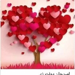 Usman Tanha