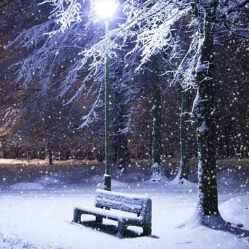 Around the world with Zihan Chowdhury