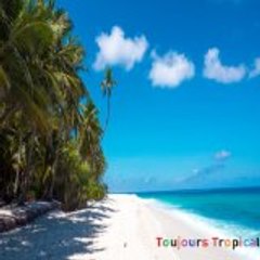 Toujours Tropical