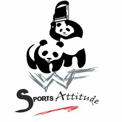 Sports attitude