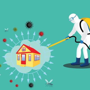 Pest Control Services