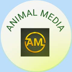 ANIMAL MEDIA