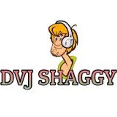 Dvjshaggy