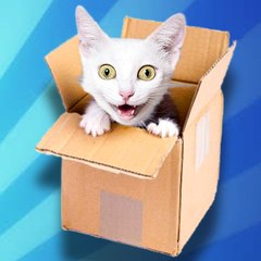 CATBOX Funny Videos