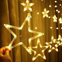 Star Ammi