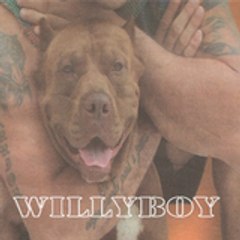 willyboy