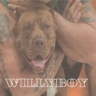 willyboy