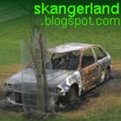 The Skanger