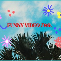 Funny Video