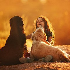 Animals Lovers