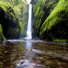 Nature High
