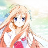 白鳥夜空の休む場