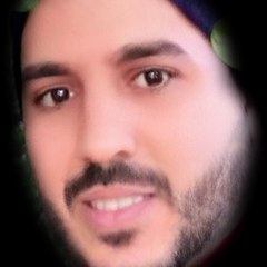 abdou M A