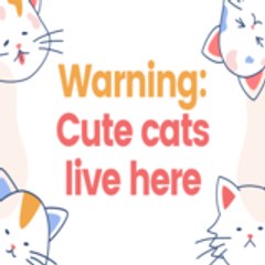 Layla Cats