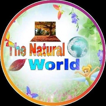 The Natural World