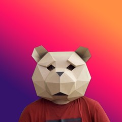 Bear Project