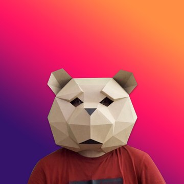 Bear Project