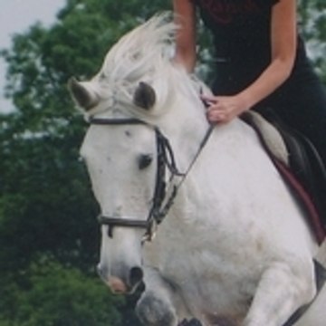 horsegirl21