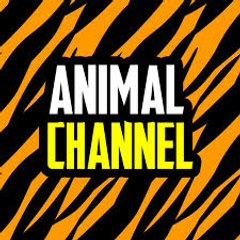 Animale chanels