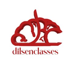 dilsenclasses