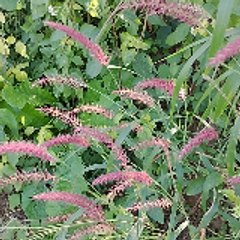 Explore new innovations