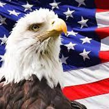 AMERICAN PATRIOT NEWS
