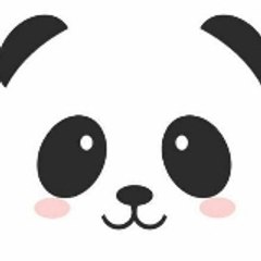 PANDA DOT COM