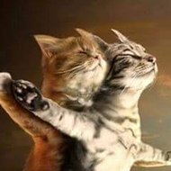 dm_8ba273b07614785b587dab7126038452