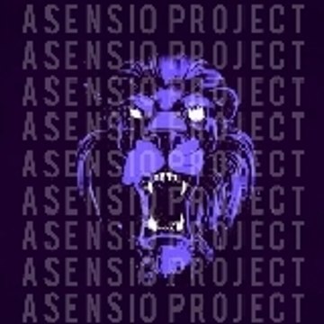 Asensio Project