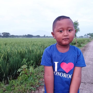 TRAKTOR JOSS NGAWI