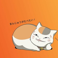 engineering sciences