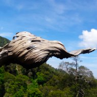 Casta Aquatic Channel