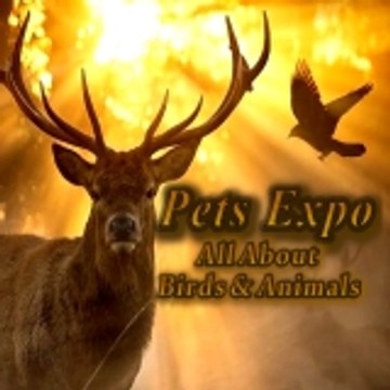 Pets Expo