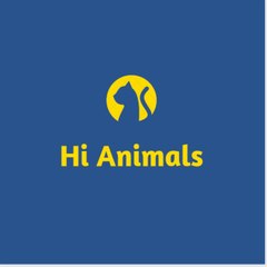 Hi Animals
