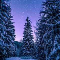 Creative short video all