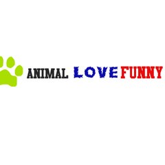 Animal Love Funny