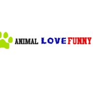 Animal Love Funny
