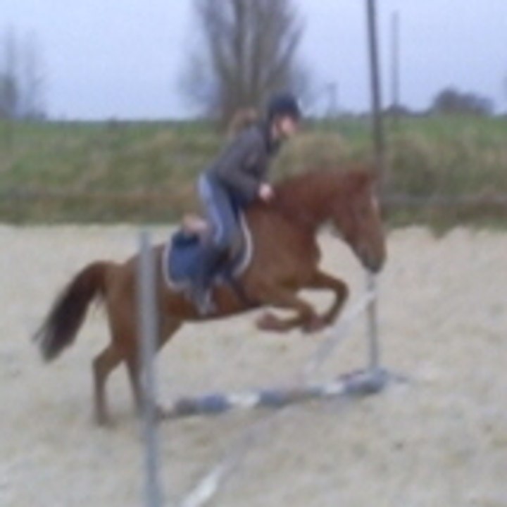 Dailymotion profile picture for @finish