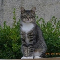 sandrine