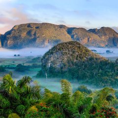 Beauty Of Nature