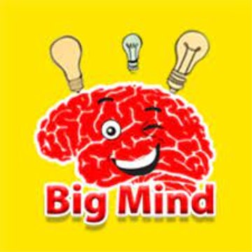 Big Mind