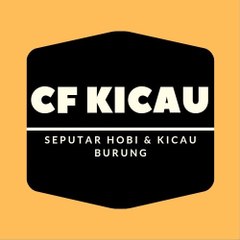 CF KICAU