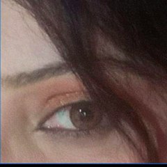 Multi talented sheikh